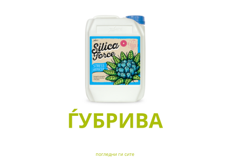 ЃУБРИВА