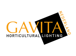 GAVITA