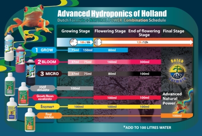 Dutch Formula 2 Bloom 1.0L