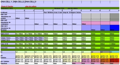 DNA-CEL 2  5L