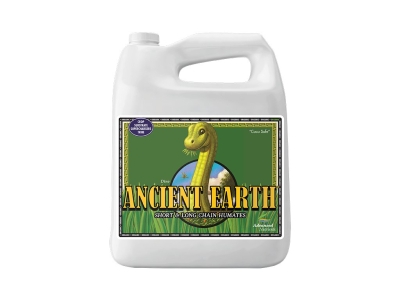 Ancient Earth 1L