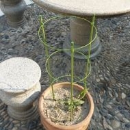 Support plastic sticks 75cm