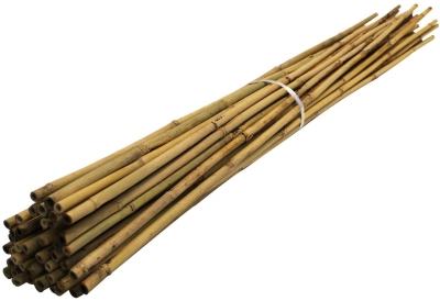 Bamboo stick 180cm