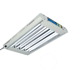 Llambë CFL LightWave T5 24-HO (96 W) 2 këmbë me 4 tuba (600 x 370 x 60 mm)