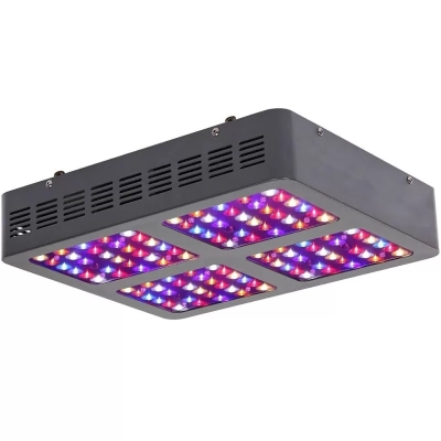 LED 600W