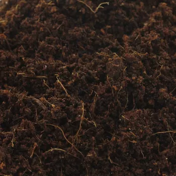 Canna Coco Professional plus