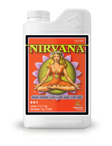 Nirvana 1L
