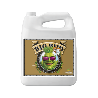 Big Bud Coco 5L