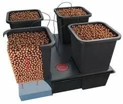 Atami Wilma 8- Hydroponic system