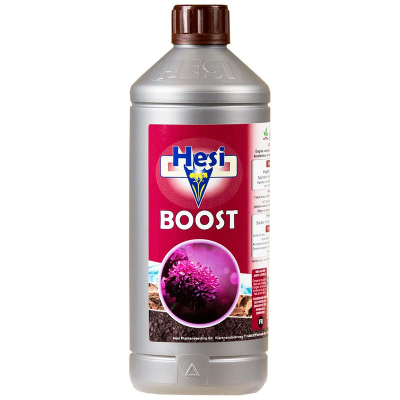 Boost 1L