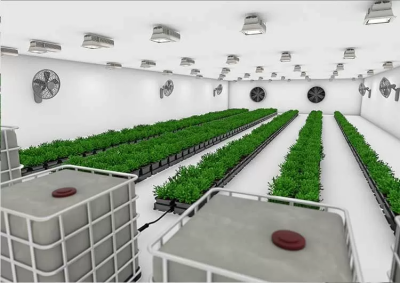 Easy2Grow 4 (NO FlexiTank) hydroponic system, 15L pots