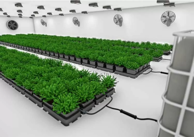 Easy2Grow 4 (NO FlexiTank) hydroponic system, 15L pots