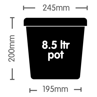 Саксија AUTOPOT 8.5L