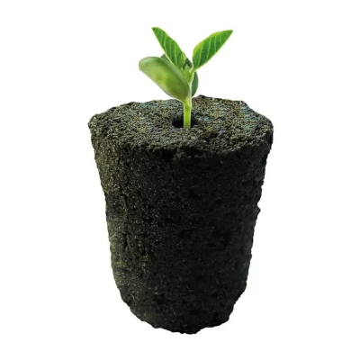 ROOT !T rooting sponges