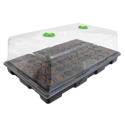 ROOT IT MINI SERE - perhapues