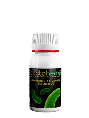 Bactochemp 50ml