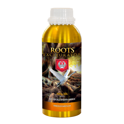 Roots Excelurator 250 ml