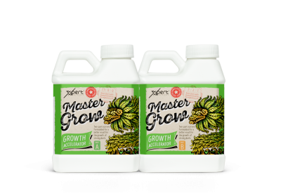 Master Grow A+B – Mineral Fertilizer for Growth