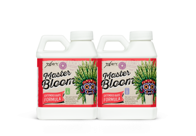 Master Bloom A+B – Mineral Fertilizer for the Flowering Stage